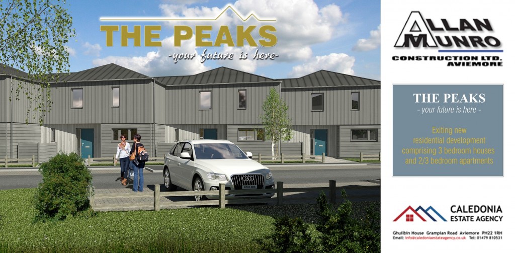 Current Developments Allan Munro Construction